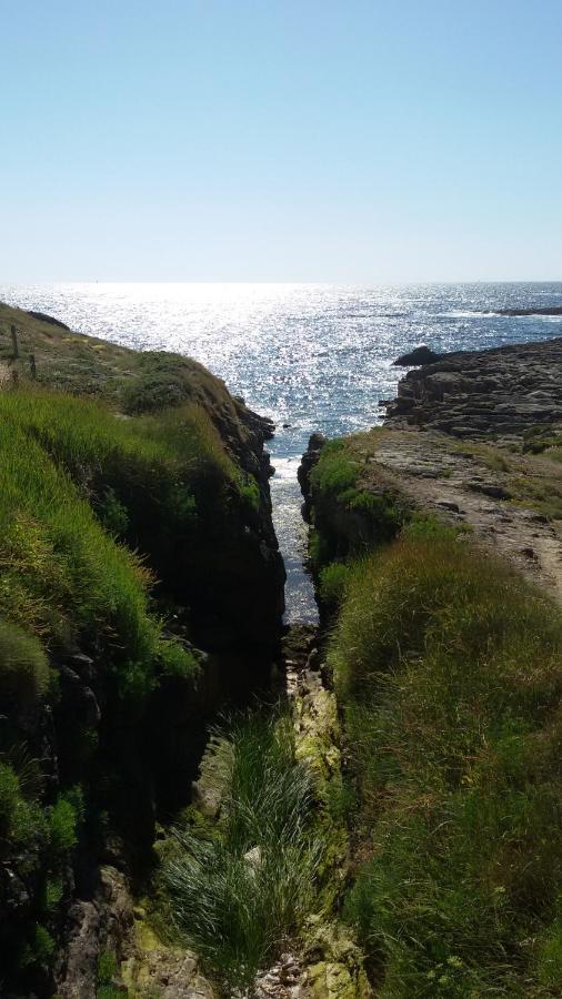 Ty Avel Studios 110 et 111 Quiberon Eksteriør billede